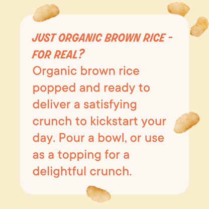 Organic Rice Crisps