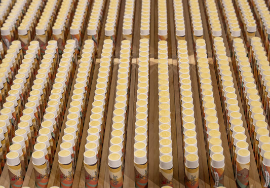 Pina Colada Tallow Lip Balm – Natural, Hydrating, Long-Lasting