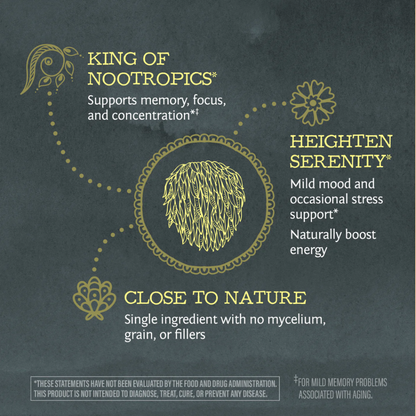 Be Well Organic Lion's Mane Mushroom Powder Drink Mix