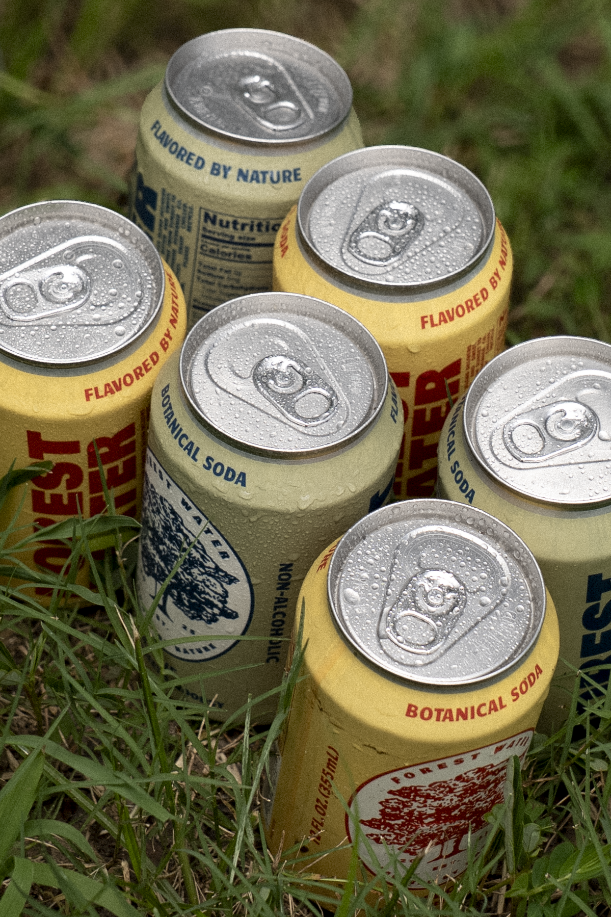 Forest Water Non-Alc Botanical Soda | Sample Pack 4-pack