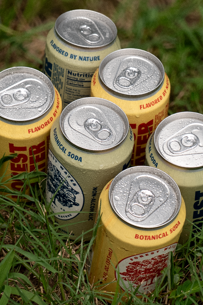 Forest Water Non-Alc Botanical Soda | Sample Pack 4-pack