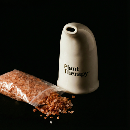 Himalayan Salt Inhaler